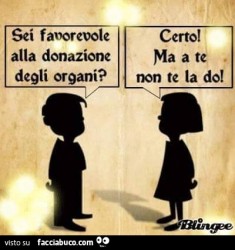 yvsze1rmq5-sei-favorevole-alla-donazione-degli-organi-certo-ma-a-te-non-te-la-do_b.jpg